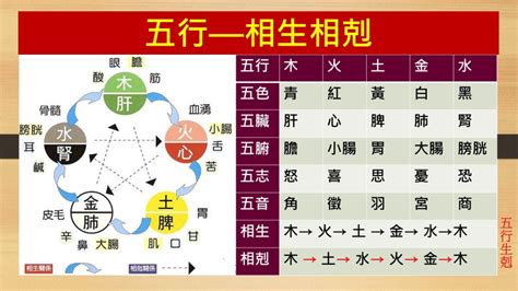 剋金|五行相生相剋3大重點｜了解五行，改善生活大小